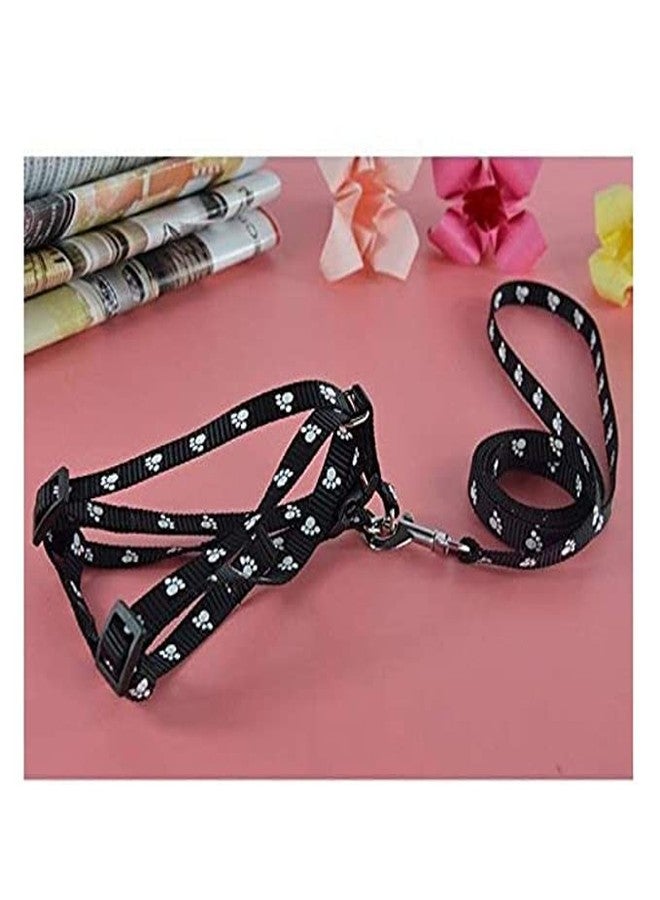 Pups&Pets طقم سرج ومقود مطبوع عليه طبعة مخالب الجراء من Pups&Pets للكلاب الصغيرة والجراء (أسود) - Image 3